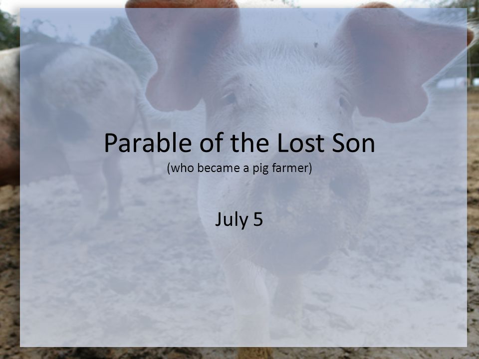 Parable of the Lost Son (who became a pig farmer) July 5