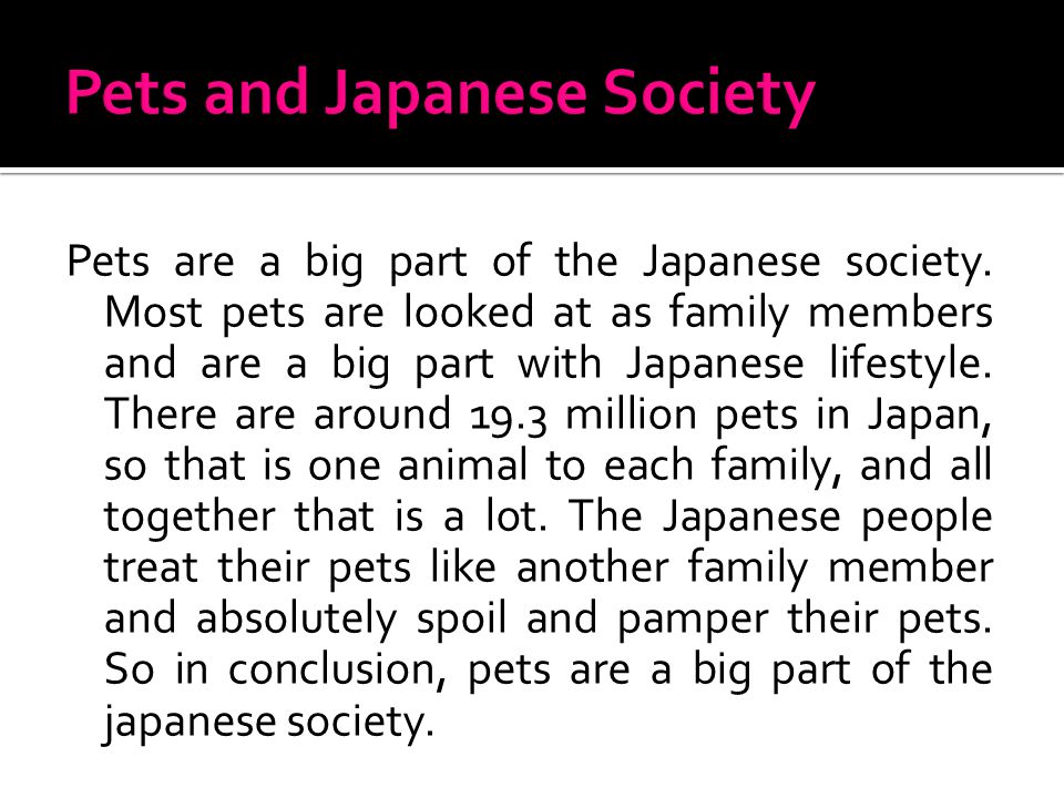 Pets are a big part of the Japanese society.