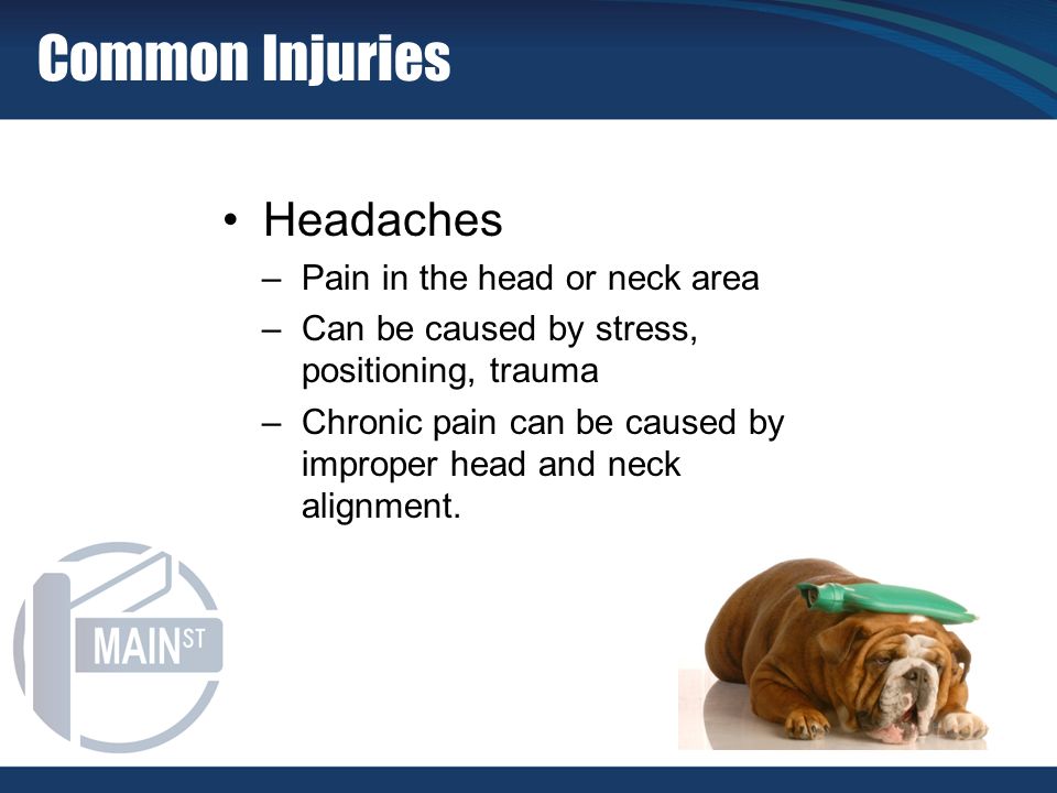 Headaches –Pain in the head or neck area –Can be caused by stress, positioning, trauma –Chronic pain can be caused by improper head and neck alignment.