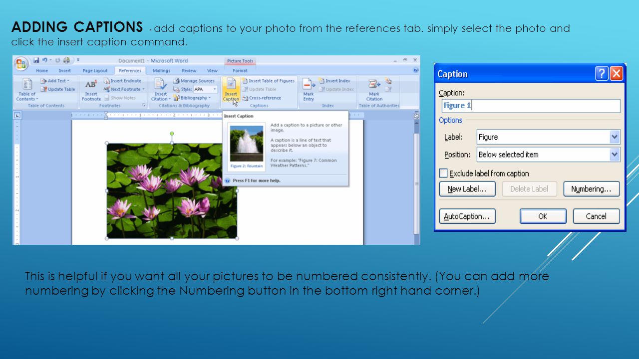 ADDING CAPTIONS - add captions to your photo from the references tab.