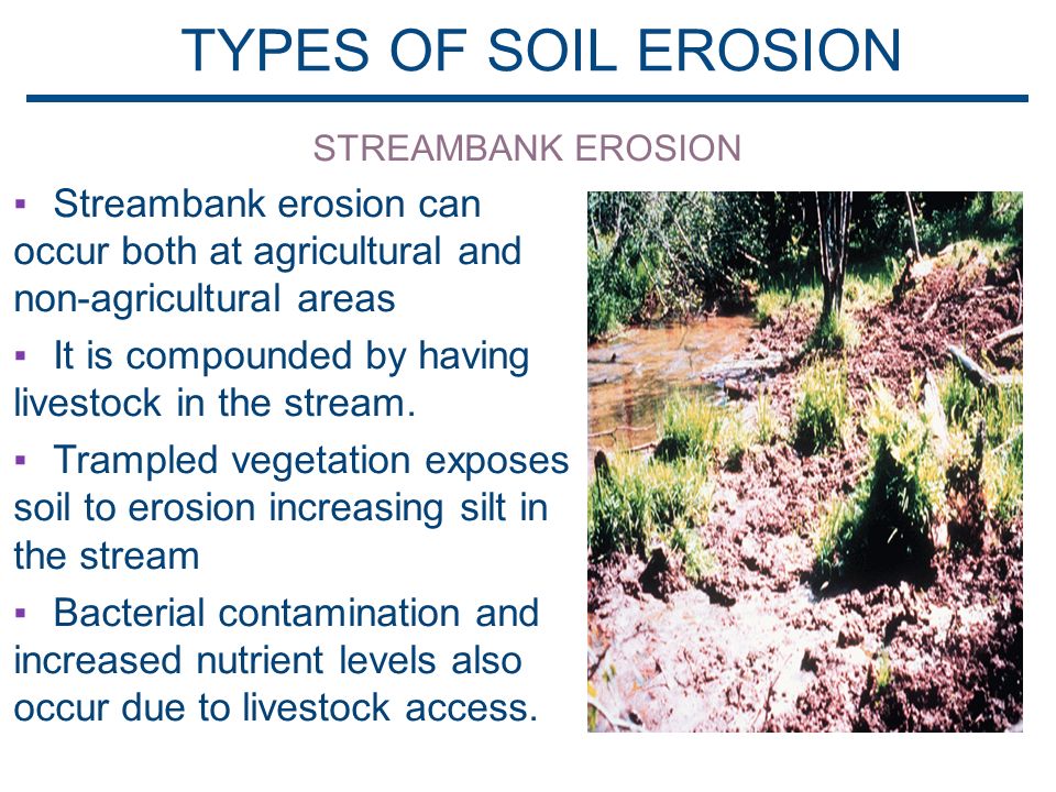 pix Types Of Soil Erosion Pictures soil erosion on pei the dirty facts