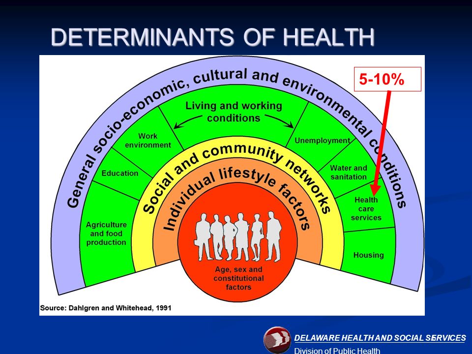 DELAWARE HEALTH AND SOCIAL SERVICES Division of Public Health DETERMINANTS OF HEALTH %