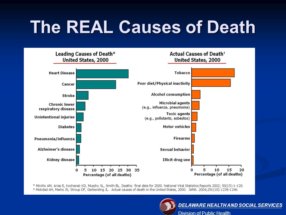 DELAWARE HEALTH AND SOCIAL SERVICES Division of Public Health The REAL Causes of Death