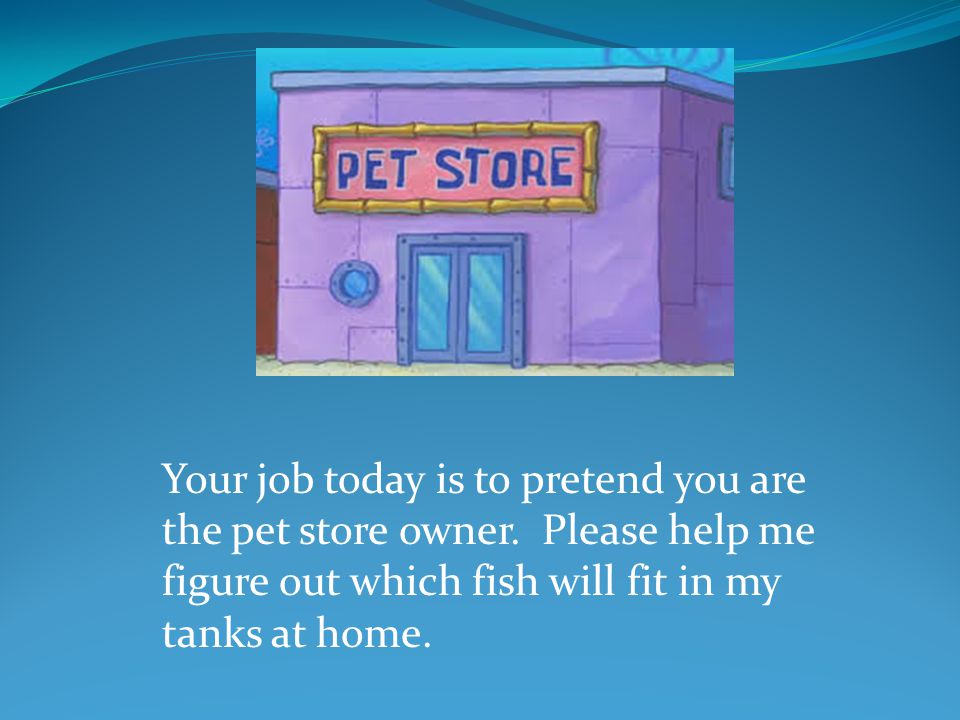 Your job today is to pretend you are the pet store owner.