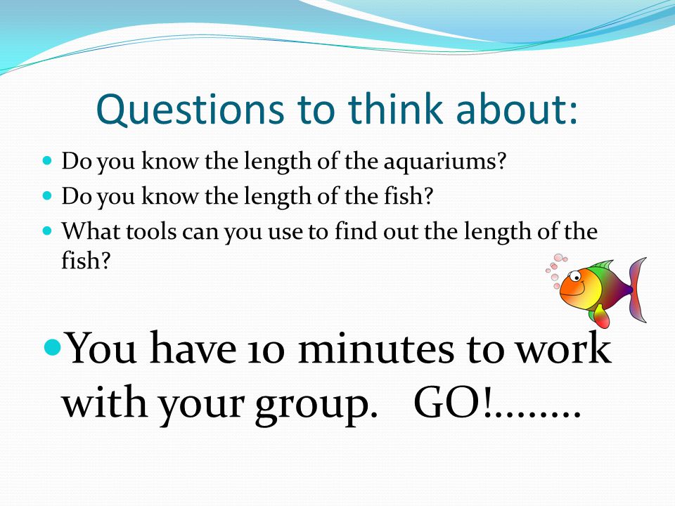Questions to think about: Do you know the length of the aquariums.