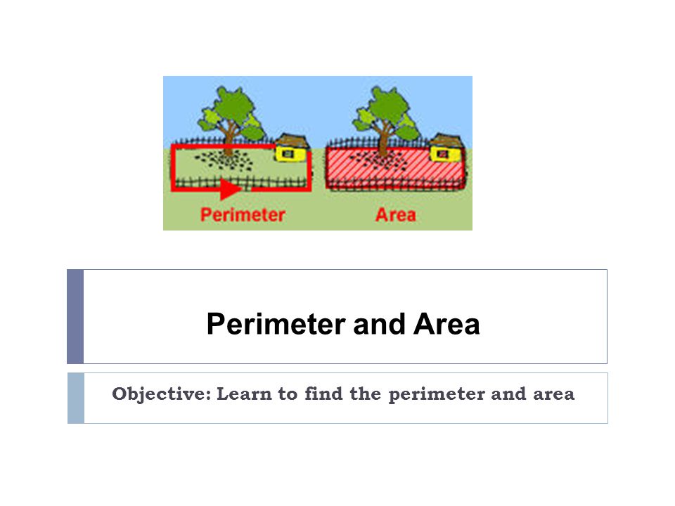 Perimeter and Area Objective: Learn to find the perimeter and area