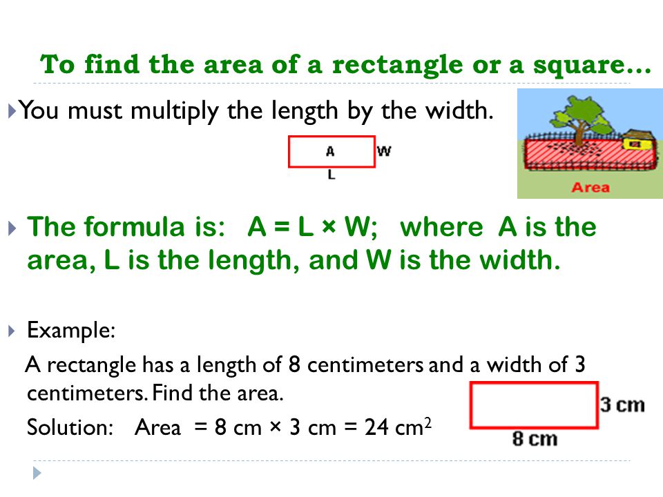 To find the area of a rectangle or a square…  You must multiply the length by the width.