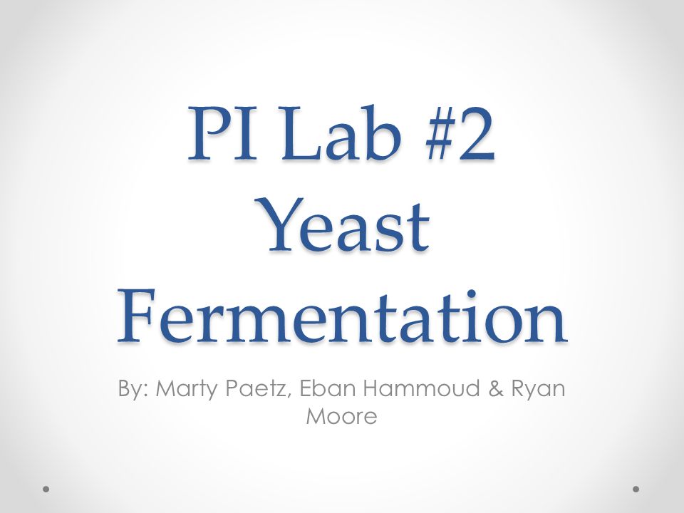 PI Lab #2 Yeast Fermentation By: Marty Paetz, Eban Hammoud & Ryan Moore