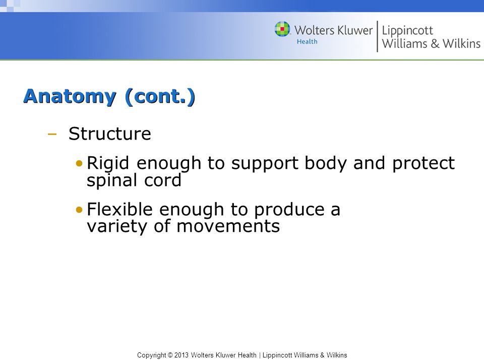 Copyright © 2013 Wolters Kluwer Health | Lippincott Williams & Wilkins Anatomy (cont.) –Structure Rigid enough to support body and protect spinal cord Flexible enough to produce a variety of movements