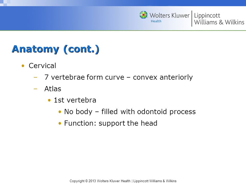 Copyright © 2013 Wolters Kluwer Health | Lippincott Williams & Wilkins Anatomy (cont.) Cervical –7 vertebrae form curve – convex anteriorly –Atlas 1st vertebra No body – filled with odontoid process Function: support the head