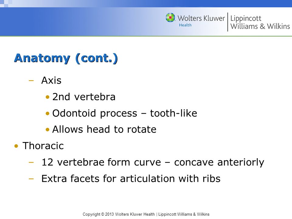 Copyright © 2013 Wolters Kluwer Health | Lippincott Williams & Wilkins Anatomy (cont.) –Axis 2nd vertebra Odontoid process – tooth-like Allows head to rotate Thoracic –12 vertebrae form curve – concave anteriorly –Extra facets for articulation with ribs