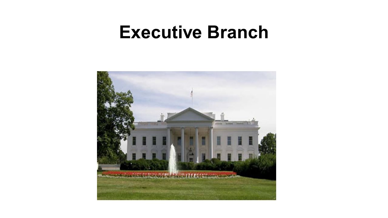 Executive Branch