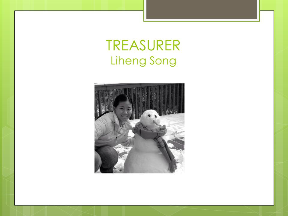 TREASURER Liheng Song