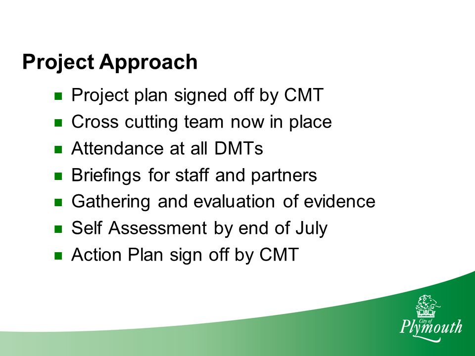 Project Approach Project plan signed off by CMT Cross cutting team now in place Attendance at all DMTs Briefings for staff and partners Gathering and evaluation of evidence Self Assessment by end of July Action Plan sign off by CMT