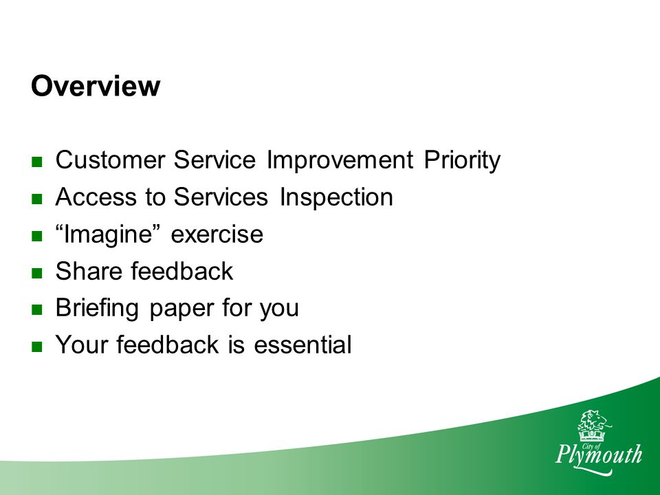 Overview Customer Service Improvement Priority Access to Services Inspection Imagine exercise Share feedback Briefing paper for you Your feedback is essential