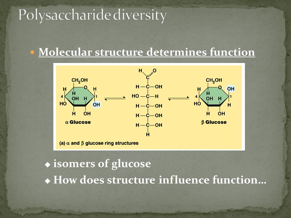 larger molecules join form to organic ... together Smaller to Smaller larger molecules organic together ... join form