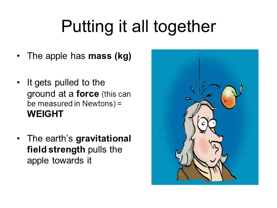 Putting it all together The apple has mass (kg) It gets pulled to the ground at a force (this can be measured in Newtons) = WEIGHT The earth’s gravitational field strength pulls the apple towards it