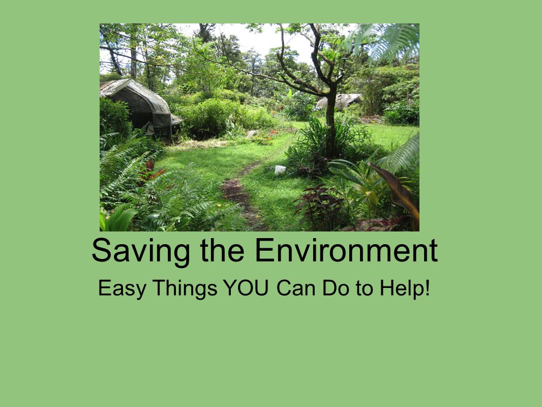 saving the environment easy things you can do to help ppt download