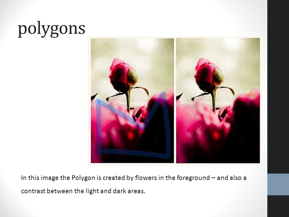 In this image the Polygon is created by flowers in the foreground – and also a contrast between the light and dark areas.