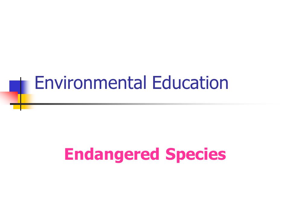 Environmental Education Endangered Species
