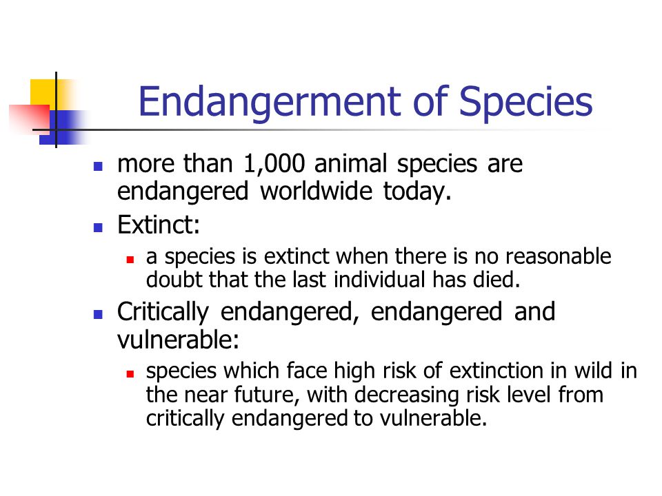 Endangerment of Species more than 1,000 animal species are endangered worldwide today.