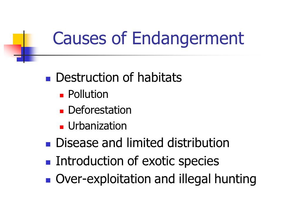 Causes of Endangerment Destruction of habitats Pollution Deforestation Urbanization Disease and limited distribution Introduction of exotic species Over-exploitation and illegal hunting