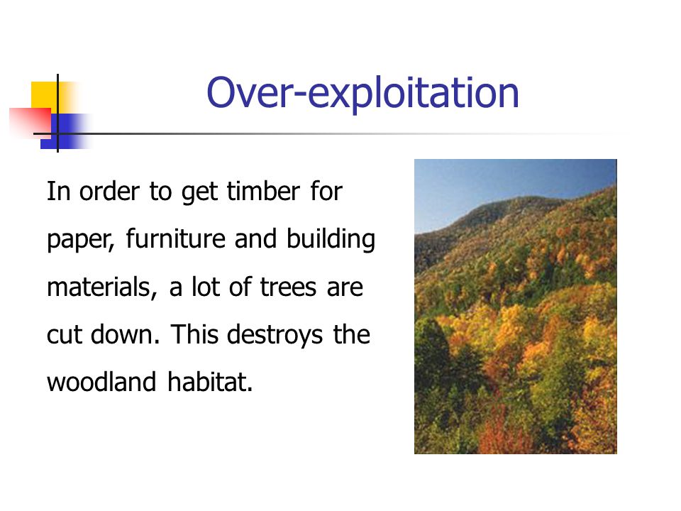 Over-exploitation In order to get timber for paper, furniture and building materials, a lot of trees are cut down.
