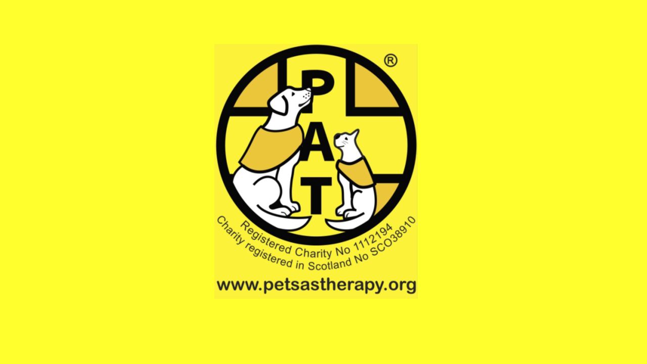 pat therapy dogs