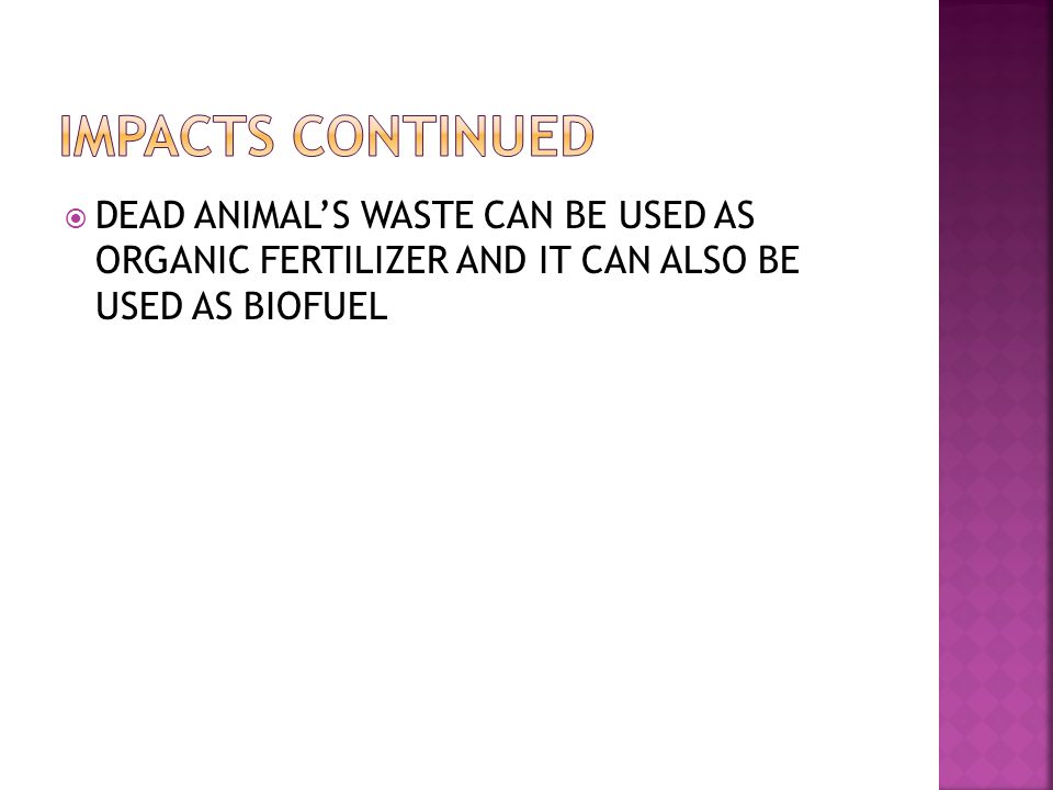  DEAD ANIMAL’S WASTE CAN BE USED AS ORGANIC FERTILIZER AND IT CAN ALSO BE USED AS BIOFUEL