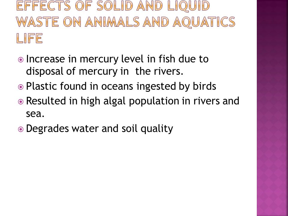  Increase in mercury level in fish due to disposal of mercury in the rivers.