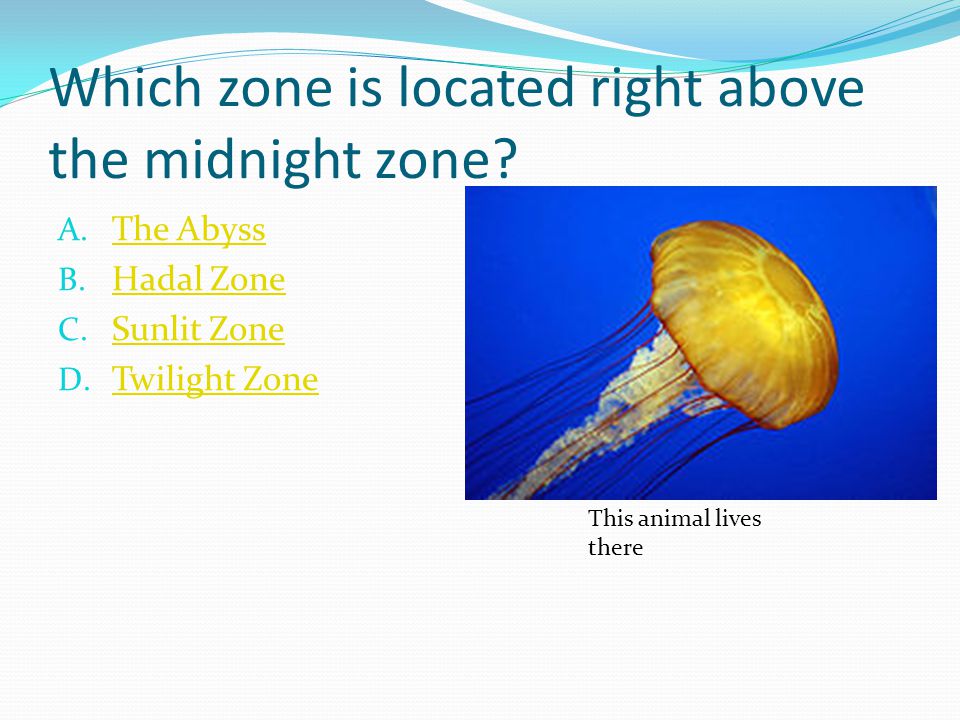 Which zone is located right above the midnight zone.