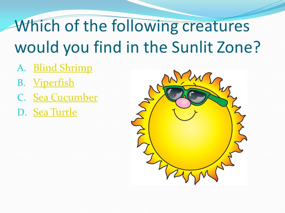Which of the following creatures would you find in the Sunlit Zone.