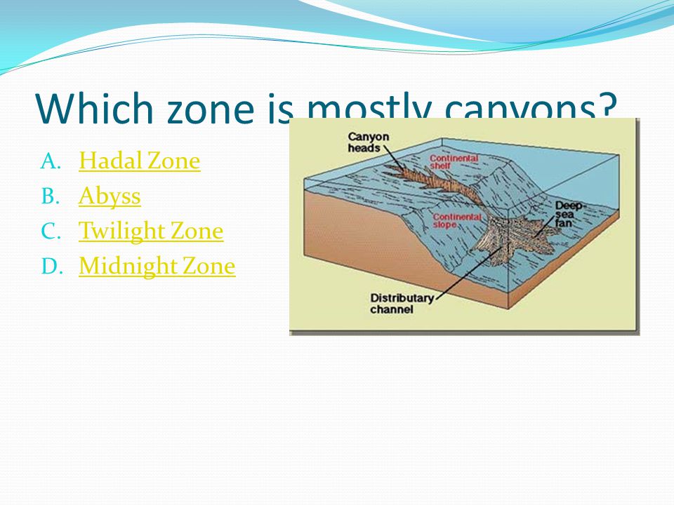 Which zone is mostly canyons. A. Hadal Zone Hadal Zone B.