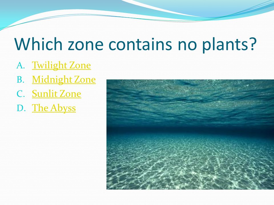 Which zone contains no plants. A. Twilight Zone Twilight Zone B.