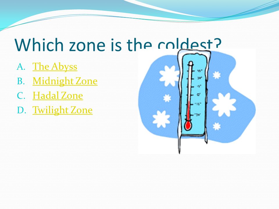 Which zone is the coldest. A. The Abyss The Abyss B.