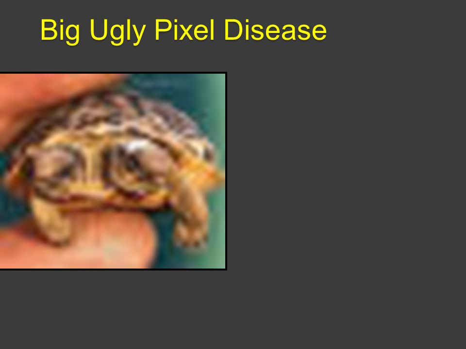 Big Ugly Pixel Disease