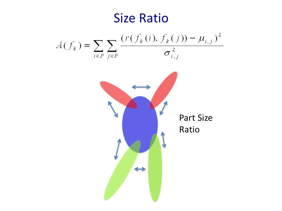 Size Ratio Part Size Ratio