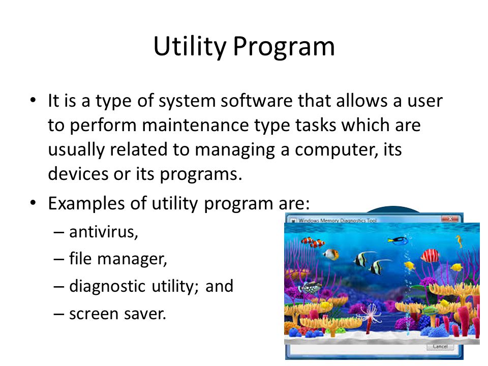 Utility Program It is a type of system software that allows a user to perform maintenance type tasks which are usually related to managing a computer, its devices or its programs.