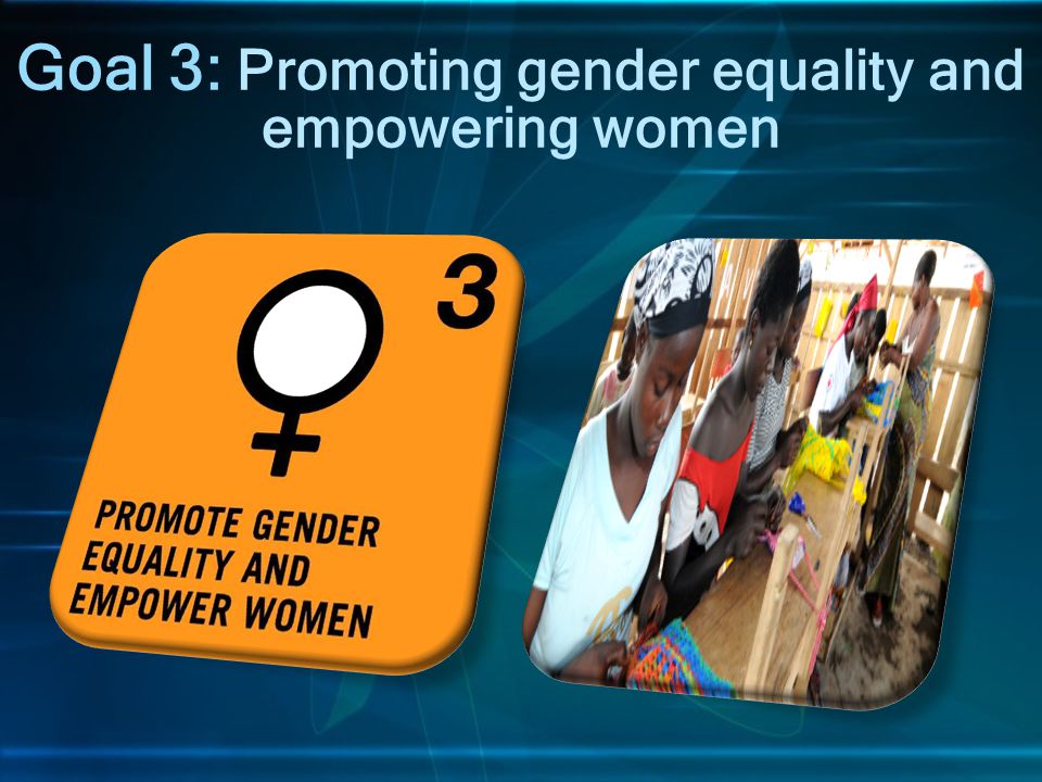 Goal 3: Promoting gender equality and empowering women