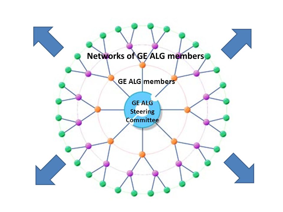 GE ALG Steering Committee GE ALG members Networks of GE ALG members