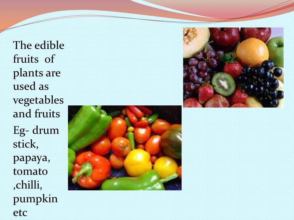The edible fruits of plants are used as vegetables and fruits Eg- drum stick, papaya, tomato,chilli, pumpkin etc