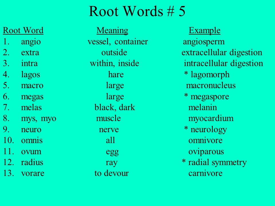 Root Words # 5 Root Word Meaning Example 1.angio vessel, container angiosperm 2.extra outside extracellular digestion 3.intra within, inside intracellular digestion 4.lagos hare * lagomorph 5.macro large macronucleus 6.megas large * megaspore 7.melas black, dark melanin 8.mys, myo muscle myocardium 9.neuro nerve * neurology 10.omnis all omnivore 11.ovum egg oviparous 12.radius ray * radial symmetry 13.vorare to devour carnivore
