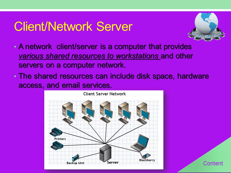 Client/Network Server A network client/server is a computer that provides various shared resources to workstations and other servers on a computer network.