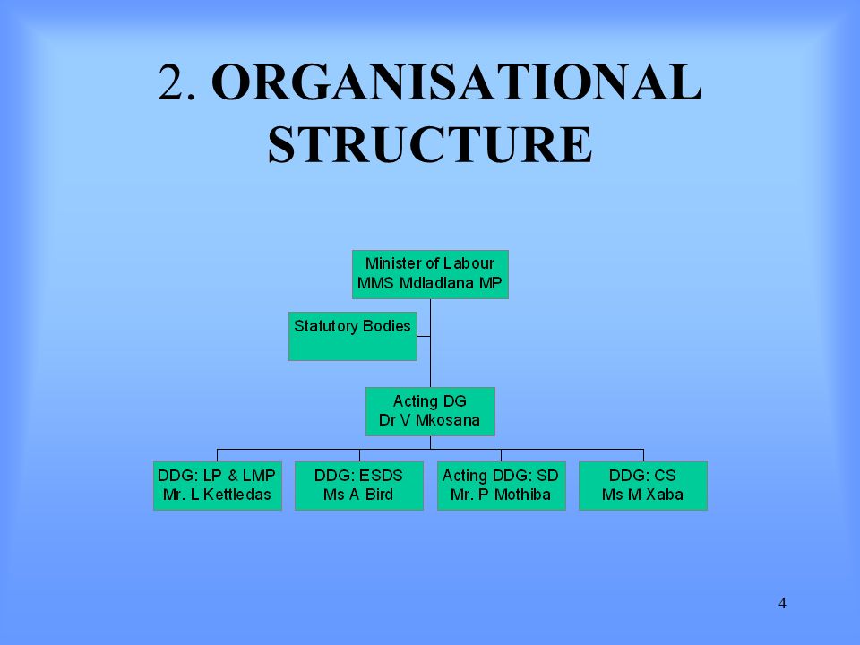 4 2. ORGANISATIONAL STRUCTURE