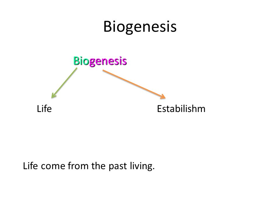 THE ORIGIN OF LIFE, EVOLUTION THEORIES AND THE TRUTHFUL Presented By ...