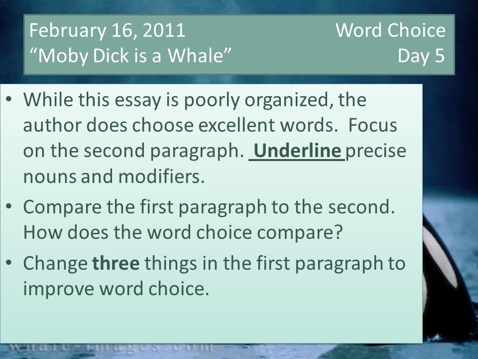 High School Admissions Essay February Word Choice Moby Dick Is A Whale Day While This Essay Learn English Essay also From Thesis To Essay Writing February Word Choice Moby Dick Is A Whale Day While How To Write A Essay For High School