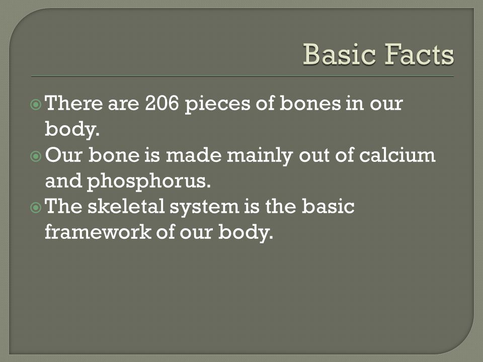  There are 206 pieces of bones in our body.