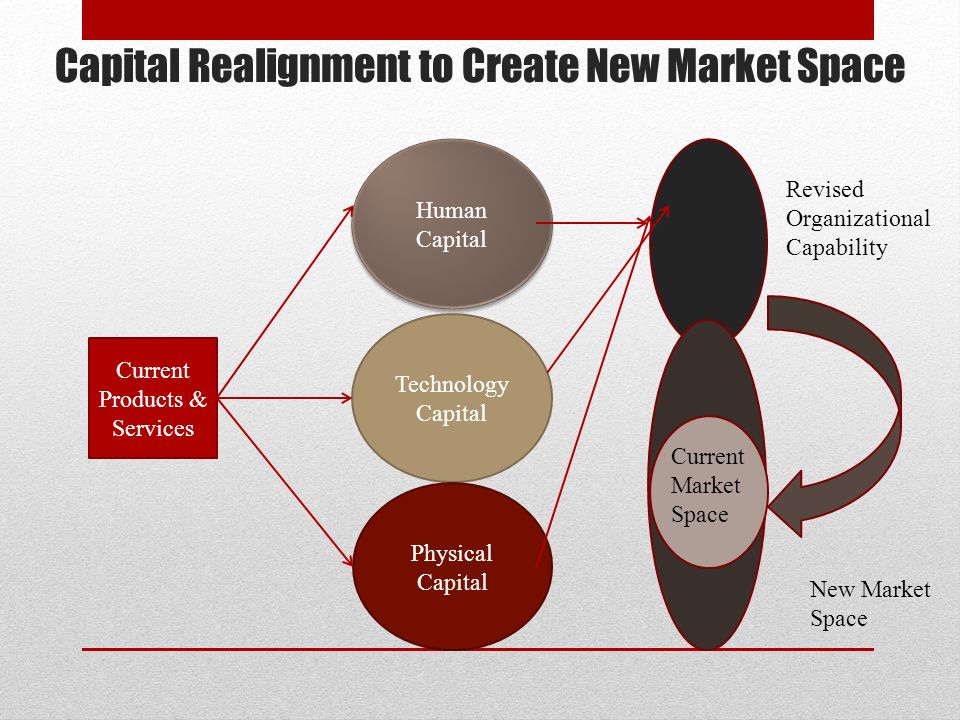 Capital Realignment to Create New Market Space Human Capital Technology Capital Physical Capital Current Products & Services Revised Organizational Capability Current Market Space New Market Space