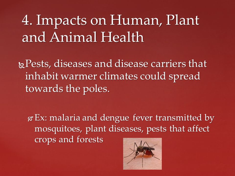  Pests, diseases and disease carriers that inhabit warmer climates could spread towards the poles.