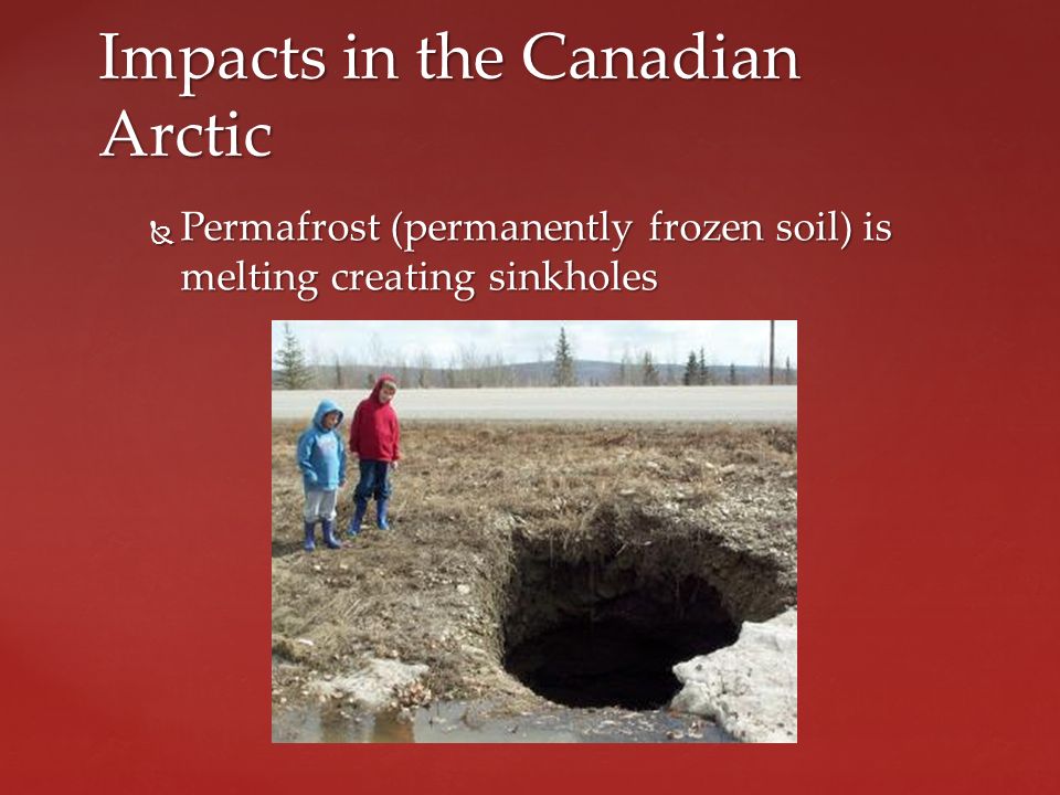  Permafrost (permanently frozen soil) is melting creating sinkholes Impacts in the Canadian Arctic